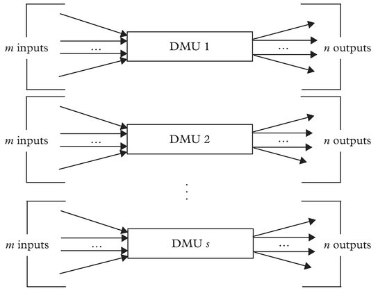 Figure 2: DMU and homogeneous units