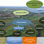 The Role of Bridging Organizations in Enhancing Ecosystem Services and Facilitating Adaptive Management of Social-Ecological Systems