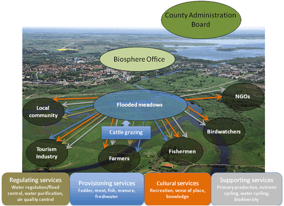 The Role Of Bridging Organizations In Enhancing Ecosystem Services And Facilitating Adaptive Management Of Social Ecological Systems