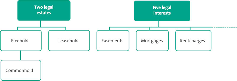 Fee simple vs freehold