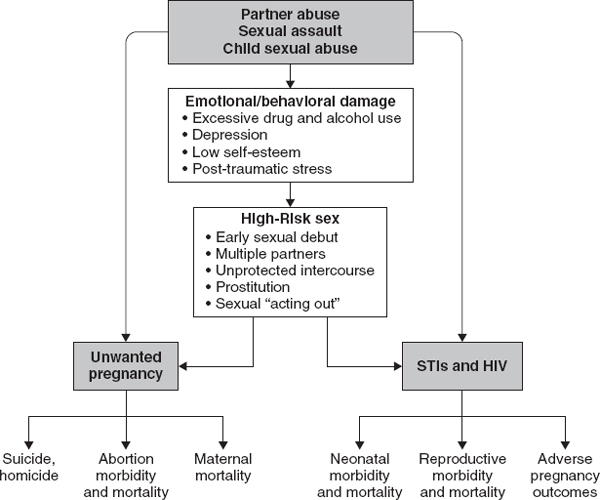 Protection of Sexual and Reproductive Health Rights Addressing