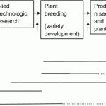 Intellectual Property in Plant Breeding