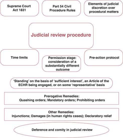 PROCESS, STANDING AND REMEDIES IN JUDICIAL REVIEW