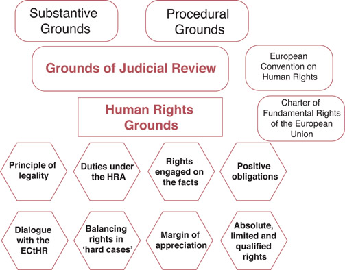 Judicial review cases